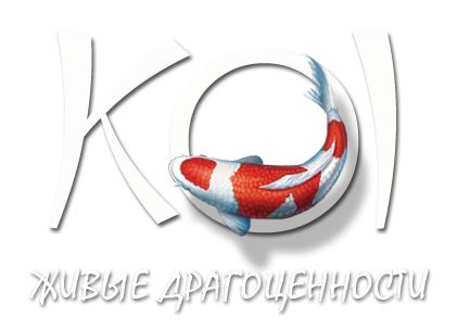 logo_KOI_white.png